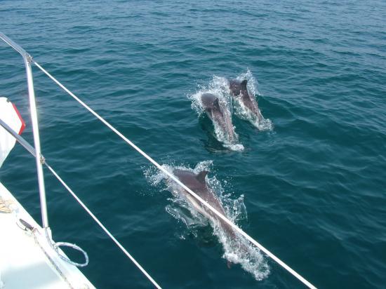 image077