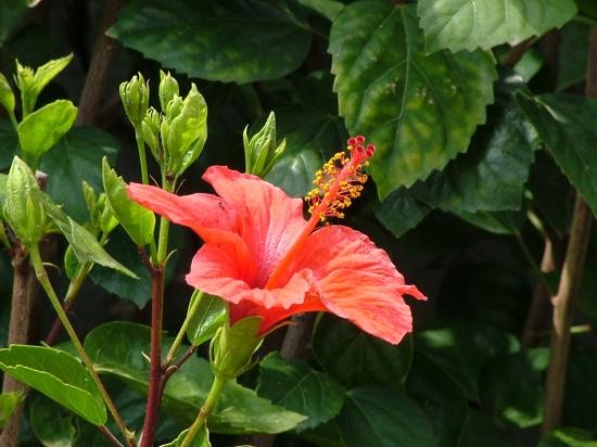 image077