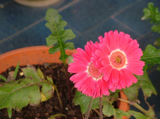 image078