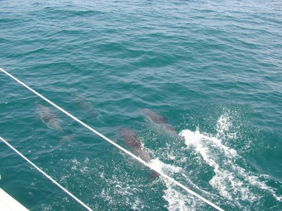 image078