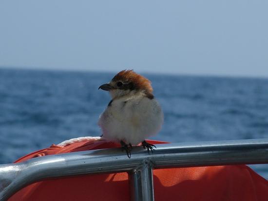 image079