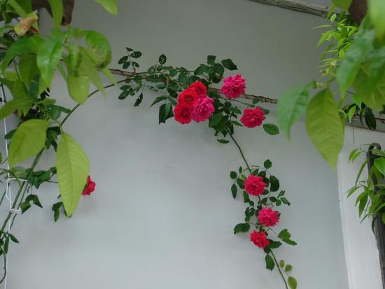 image079