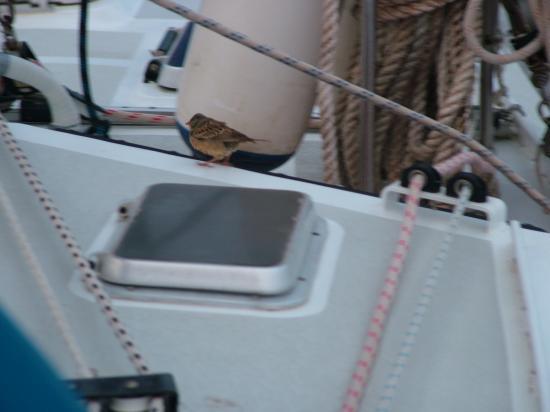 image079