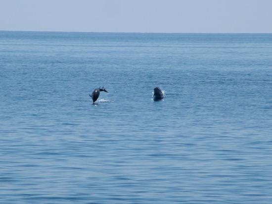 image081