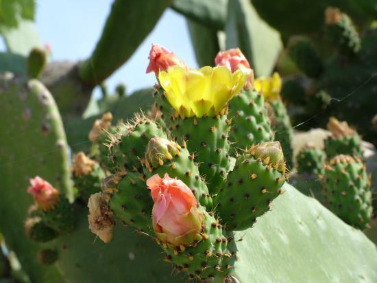 image082