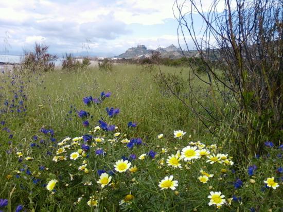 image082