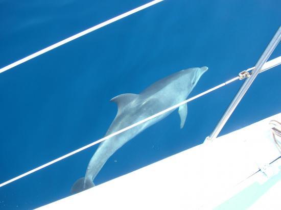 image091