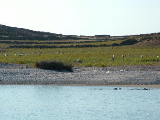 image091