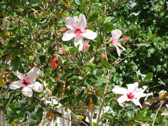 image095