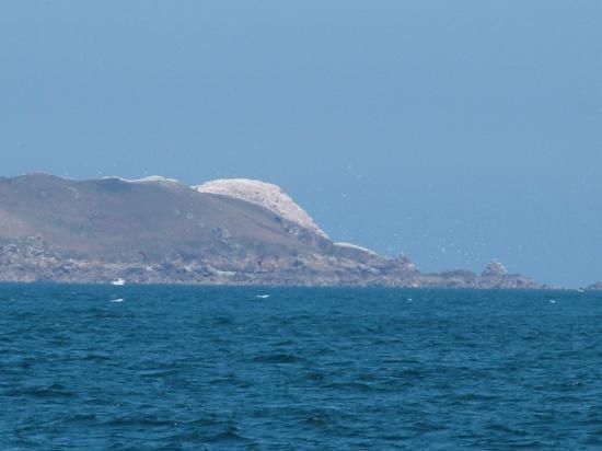 image096