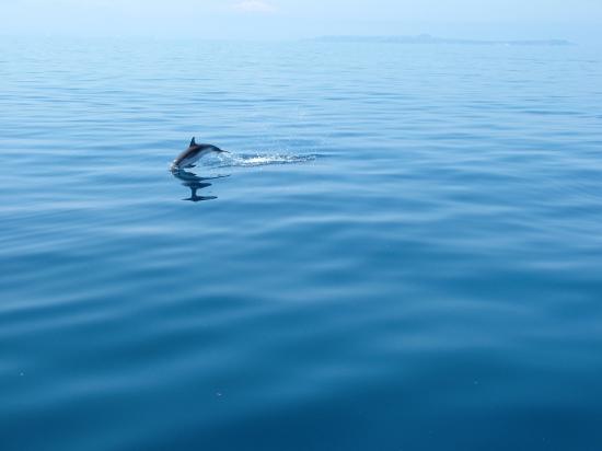 image096