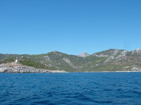 image100