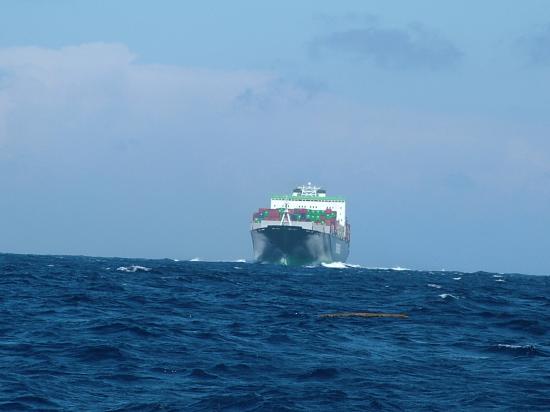 image101