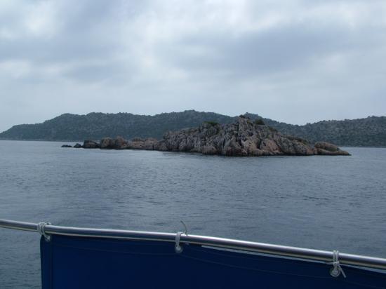 image102