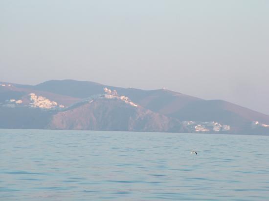 image107