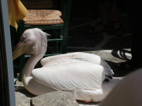 image107