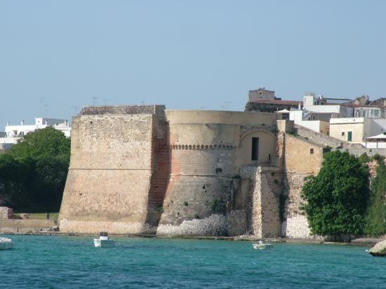 image113