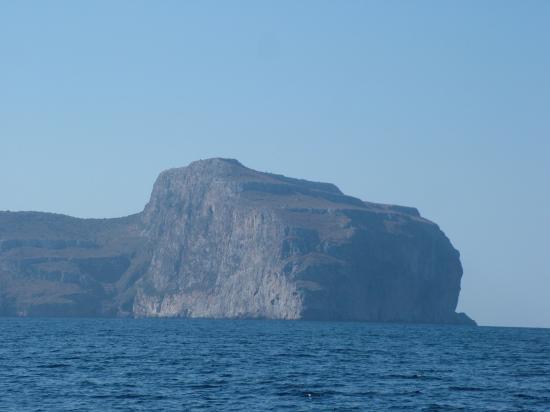 image118