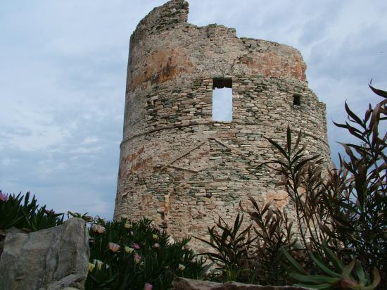image120
