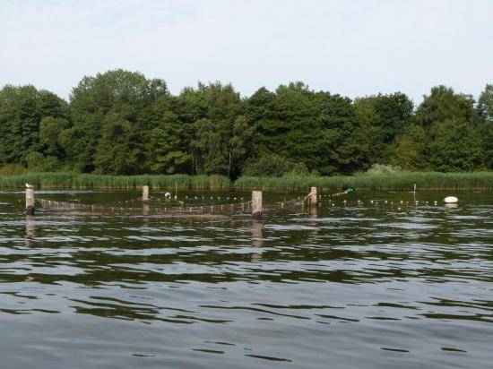 image124