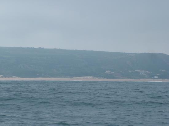 image130