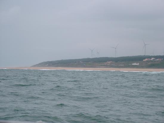 image133