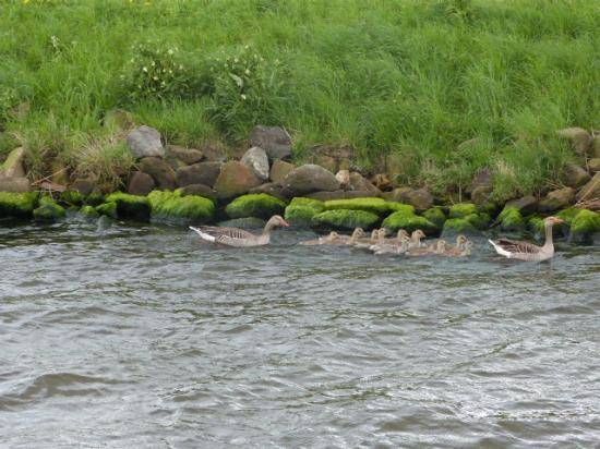 image254
