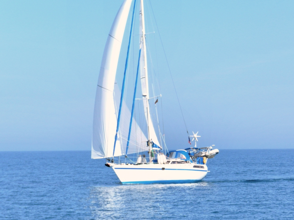 12-DSCN1126