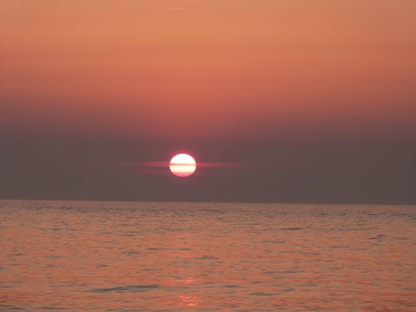 image006