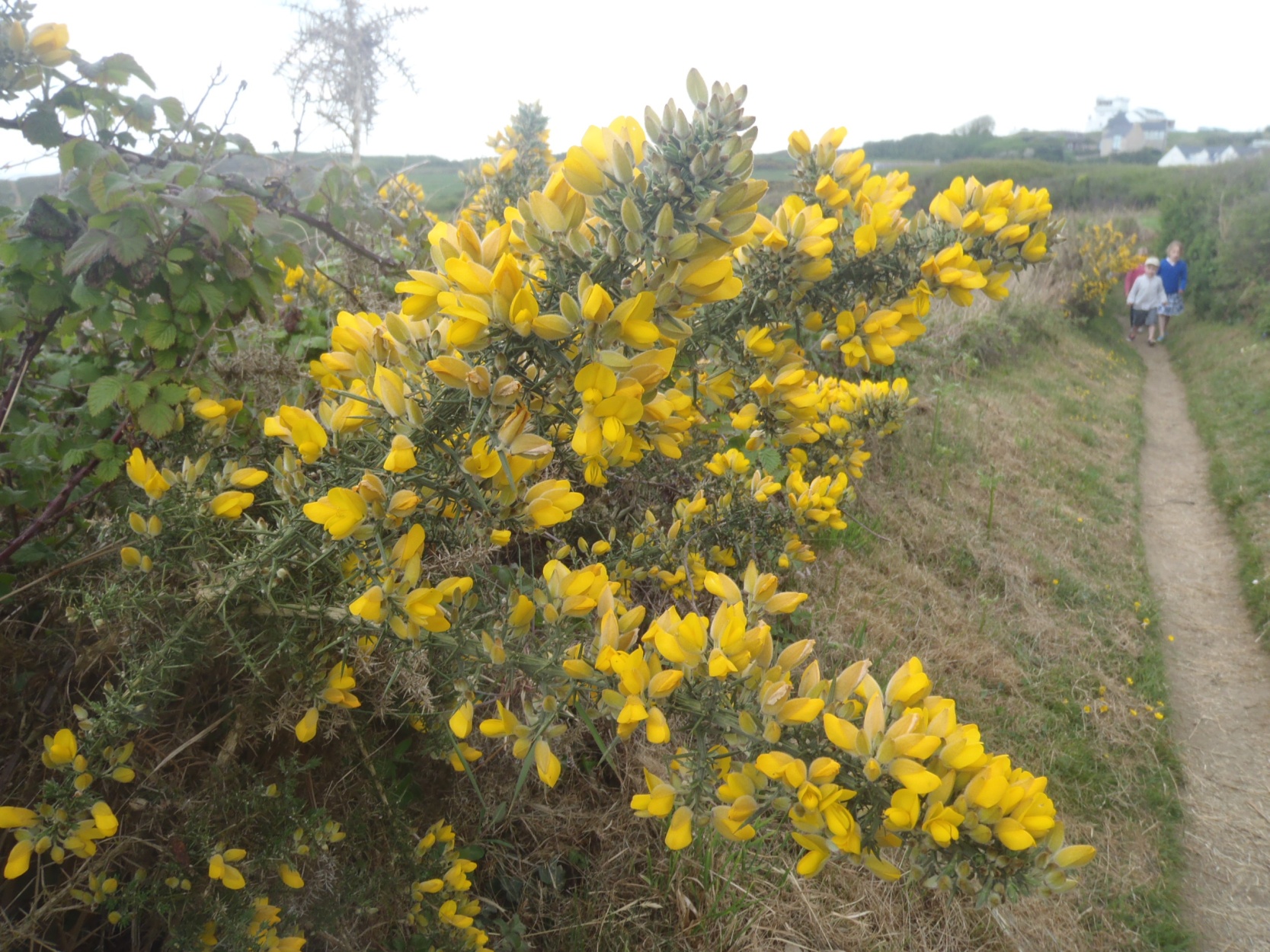 image043