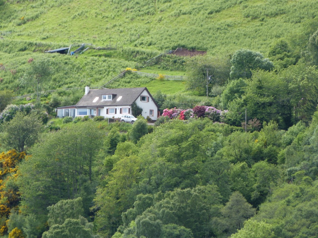P1100169