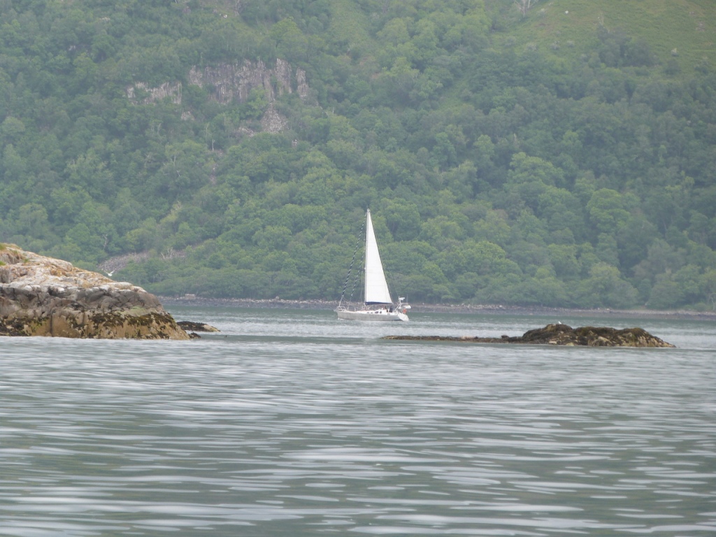 P1100771