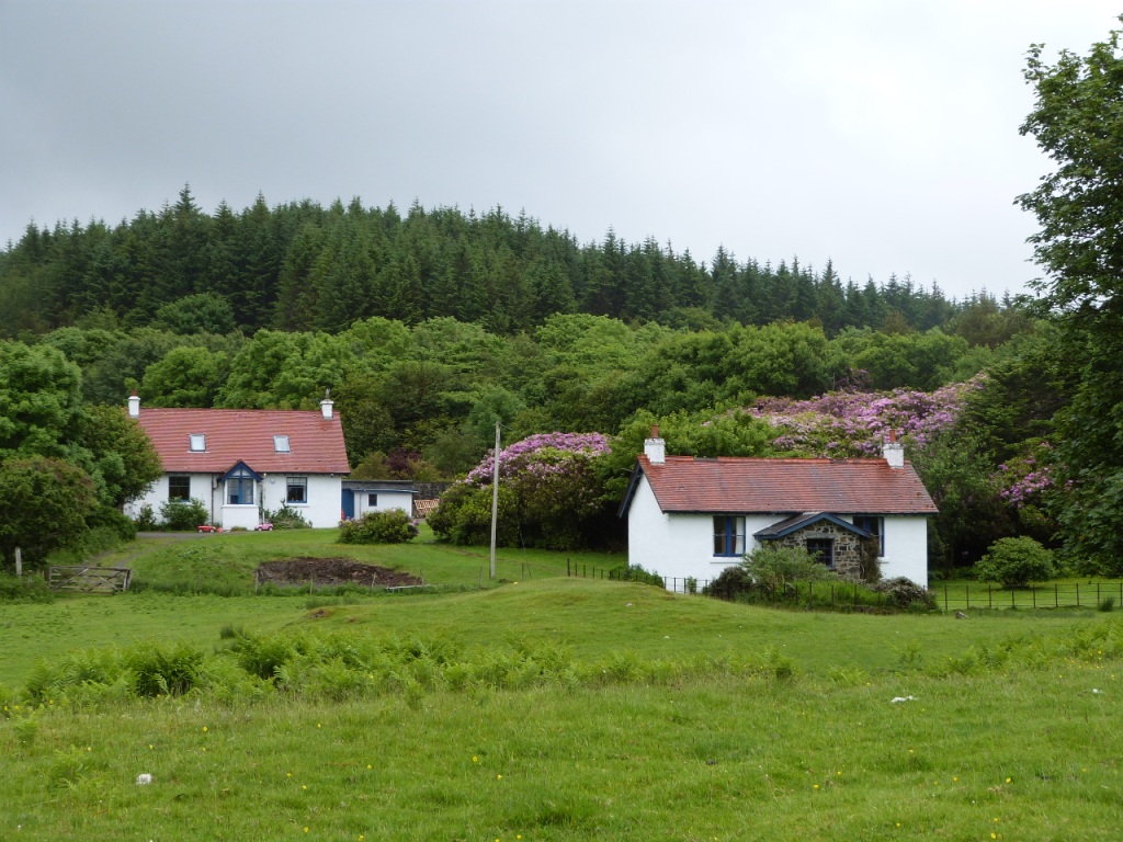 P1100866
