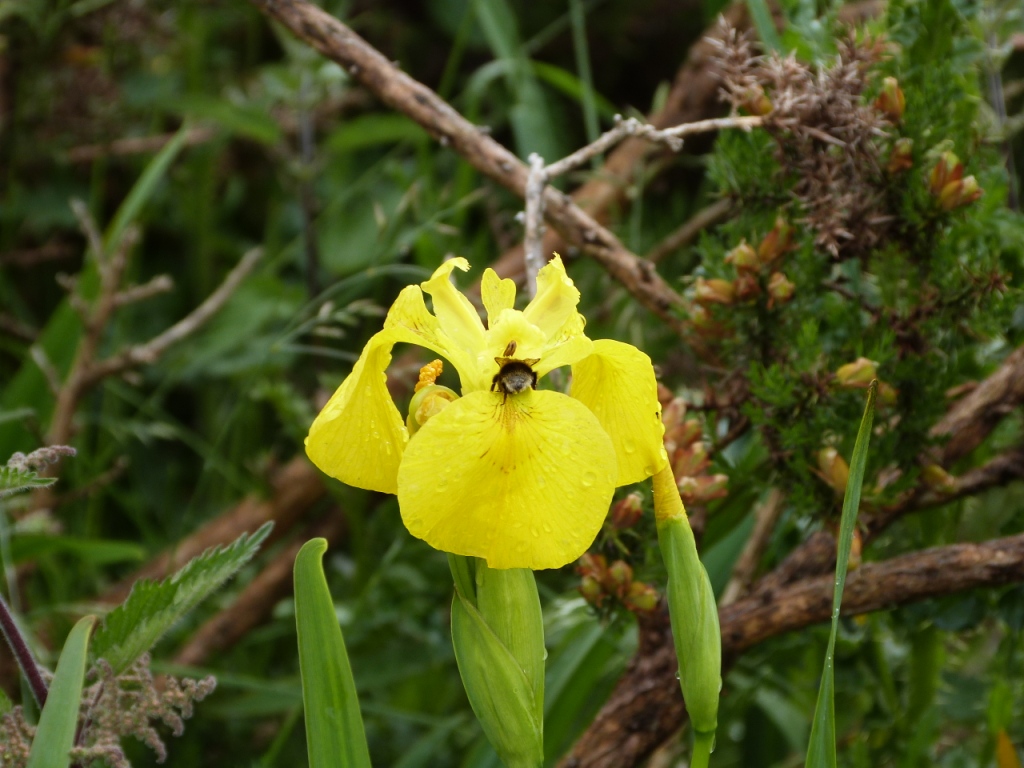 P1100882