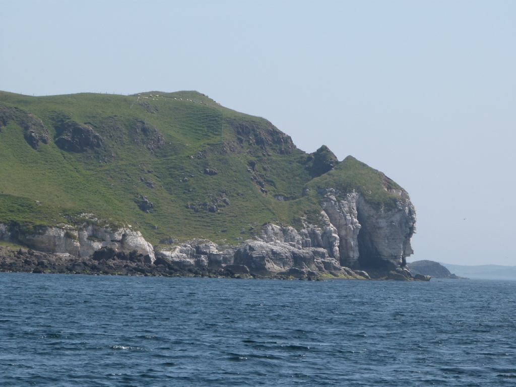 P1110531