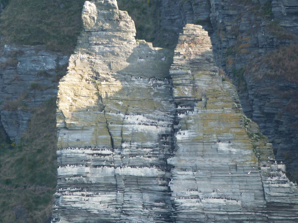 P1110772