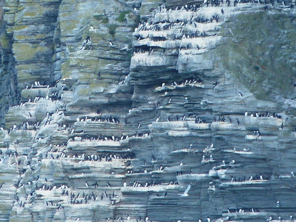 P1110777