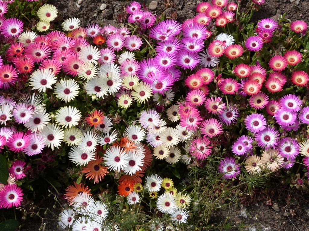 P1110923