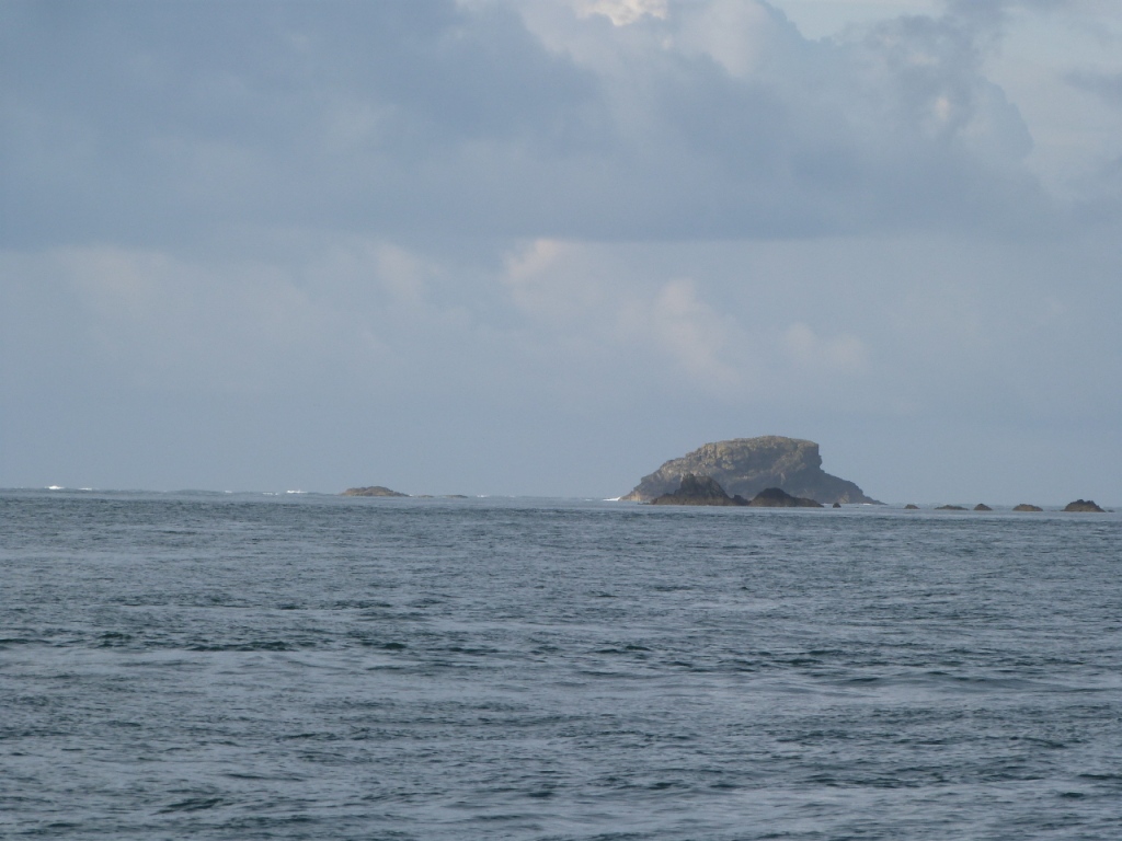 P1120528