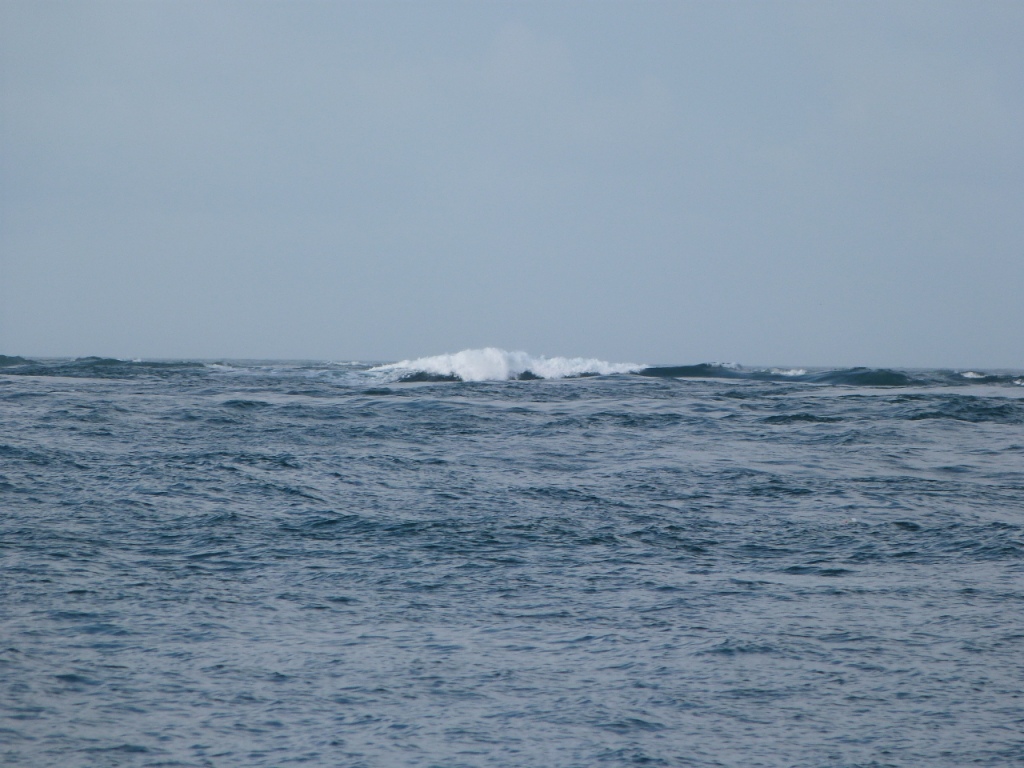 P1120548