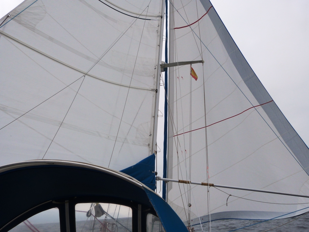 P1140220
