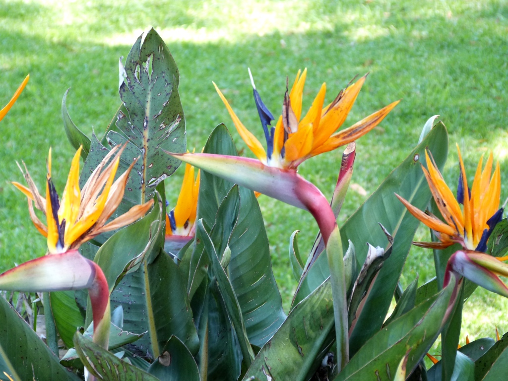 P1140388