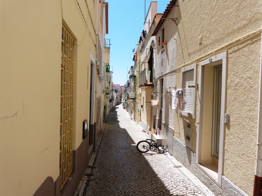 P1140699
