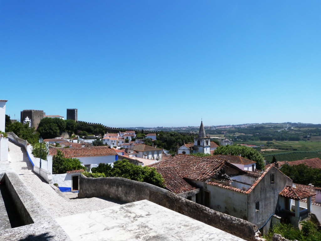P1140974