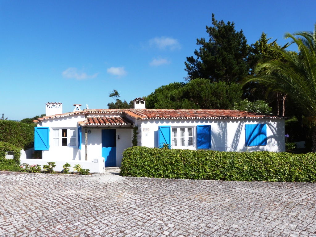 P1140984