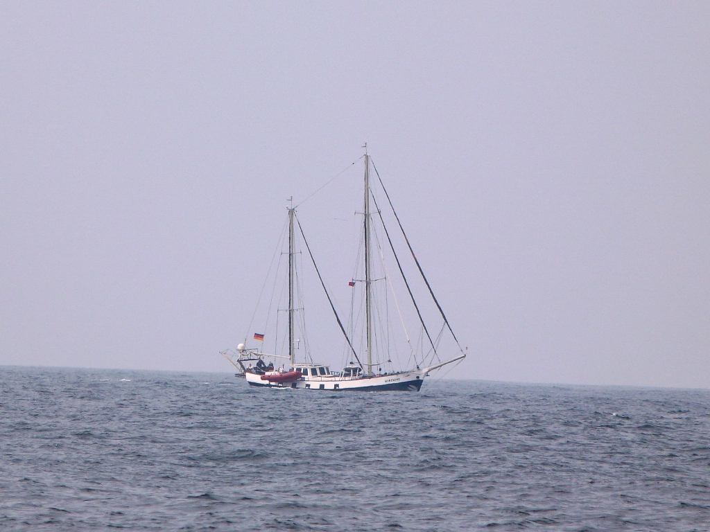 P1150009