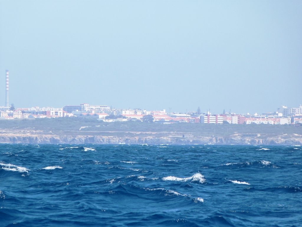 P1150263