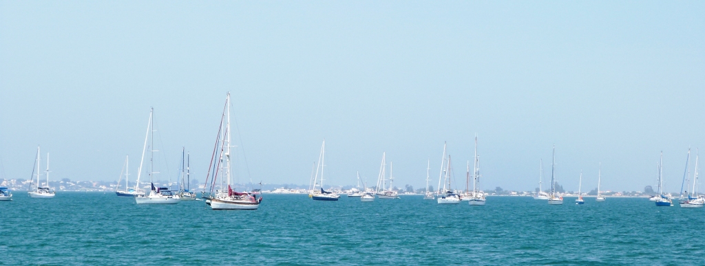 P1150487