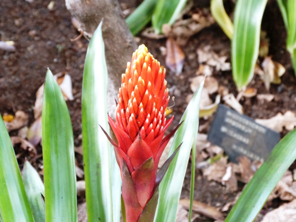 P1160129