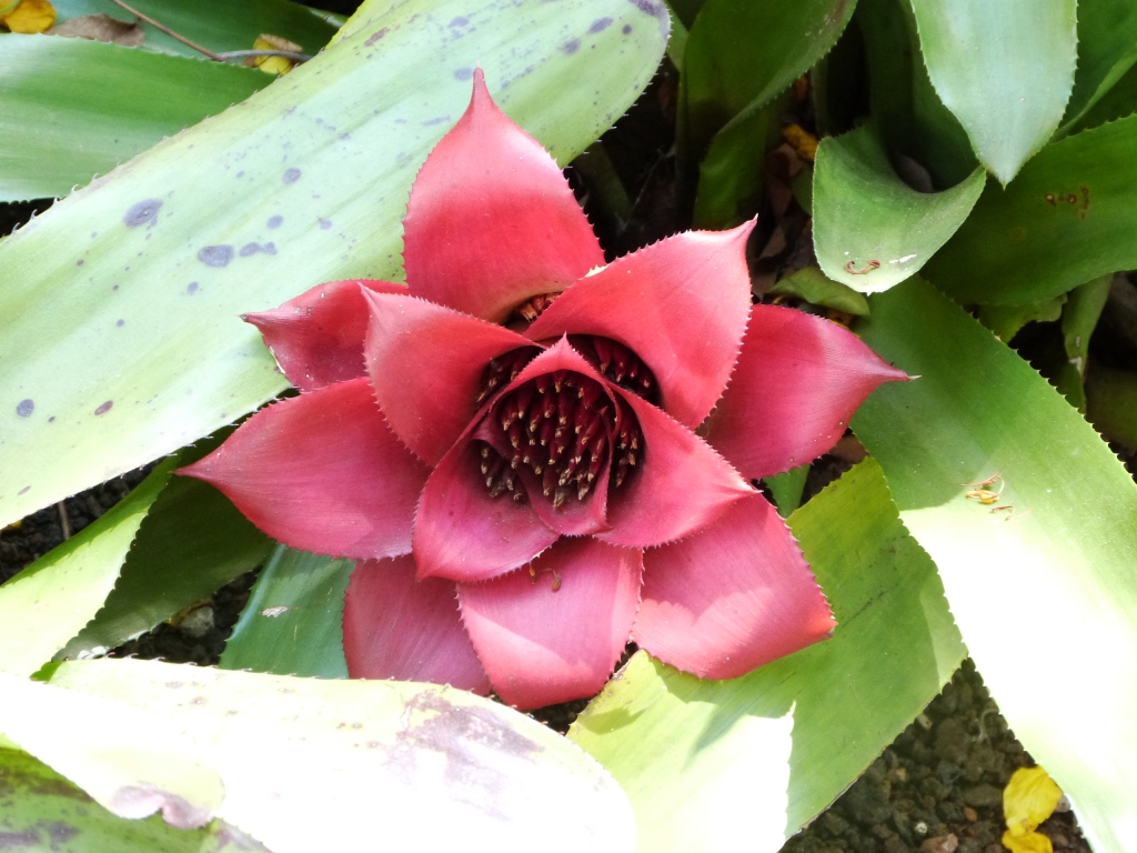 P1160238